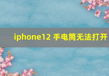 iphone12 手电筒无法打开